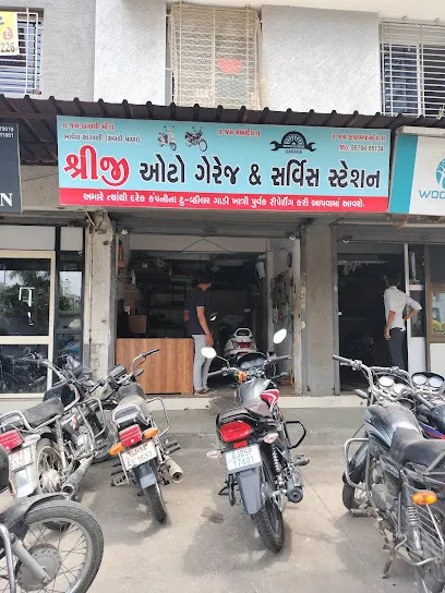 Shreeji auto garage & service station