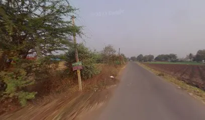 Shreeji Automobile