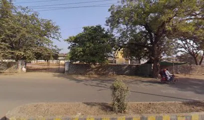 Shrinath Auto garage