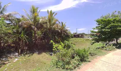 SKN AUTO
