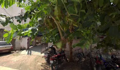 subhani Car Mechanic
