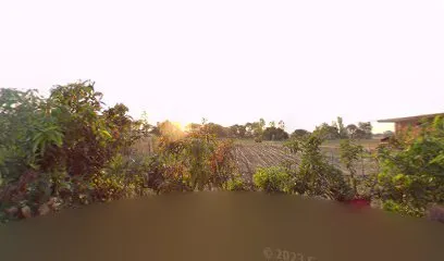 SUNIL AUTO GARRAGE
