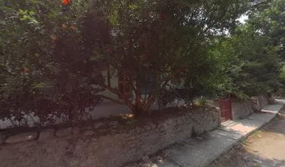 Sunny motors