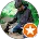 Tanu Auto Service