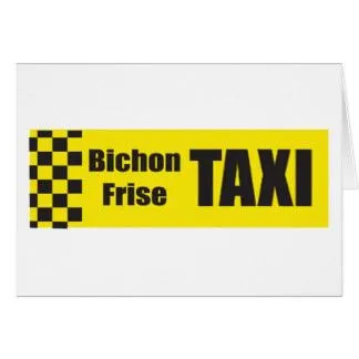 Taxi Stand
