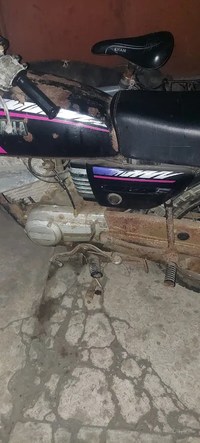 THE AUTO GARAGE