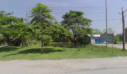 The Car & Mechanical Workshop