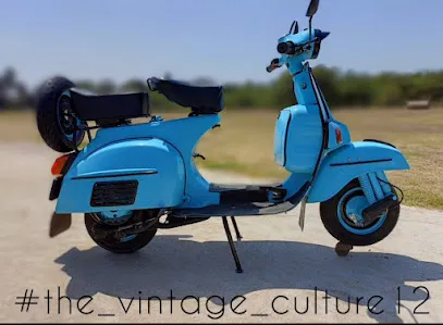 The Vintage Culture12