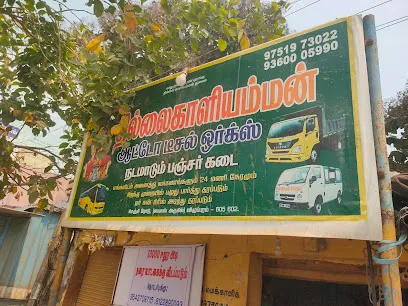 Thillaikaaliamman Auto Diesel Work Shop