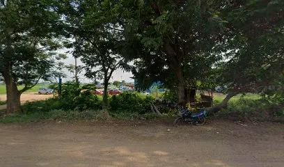 VGS motors