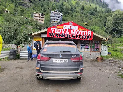 Vidya motors