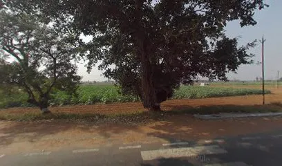 VijayJi
