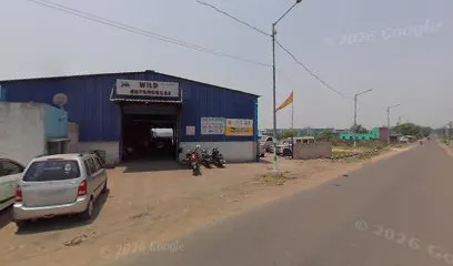 WILD AUTOMOBILES
