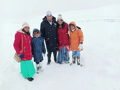 Aashish Tour And Travels - The Travel Company & Events