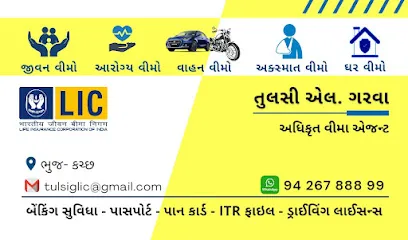ARUSHI MULTI SERVICES CSC