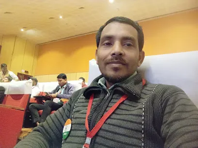 Best insurance consultant LIC