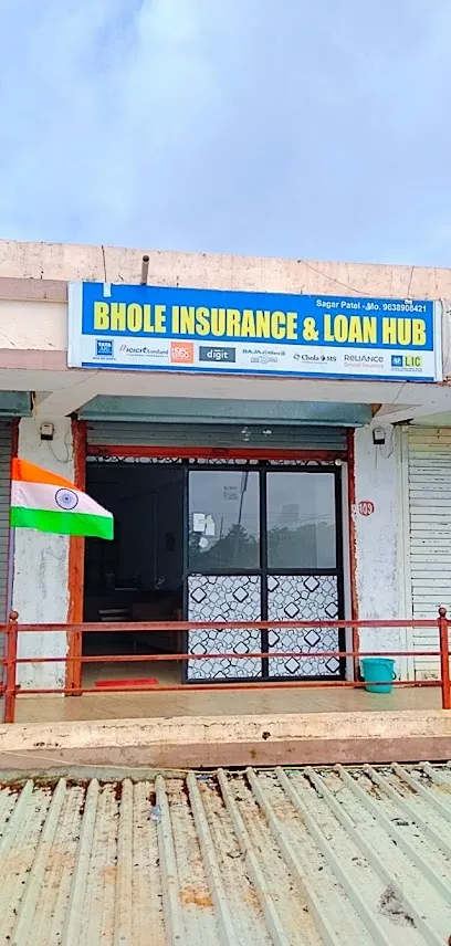 BHOLE INSURANCE &LOAN HUB
