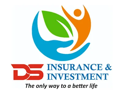 DS INSURANCE AND INVESTMENT