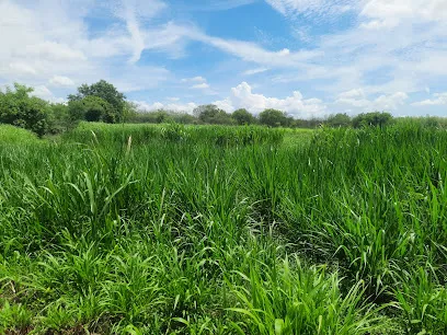 Farmers Dairy Farm
