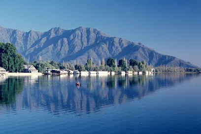 Flora Tour and Travels Kashmir