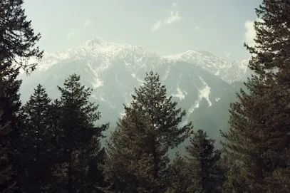 Grand Gul Noor Holidays