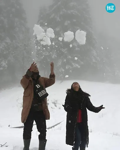 Kanni Group Of Tour and Travels