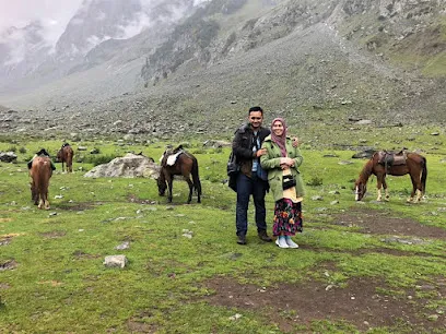 Lucky Flower Travels Kashmir