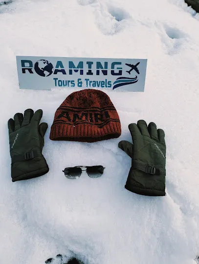 Roaming Tours & Travels