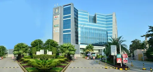 SafeTree Insurance