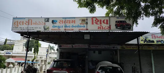 Satyam Insurance & Computer