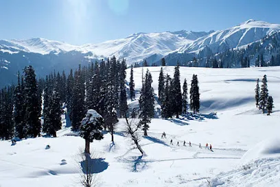 Snow Valley Tours