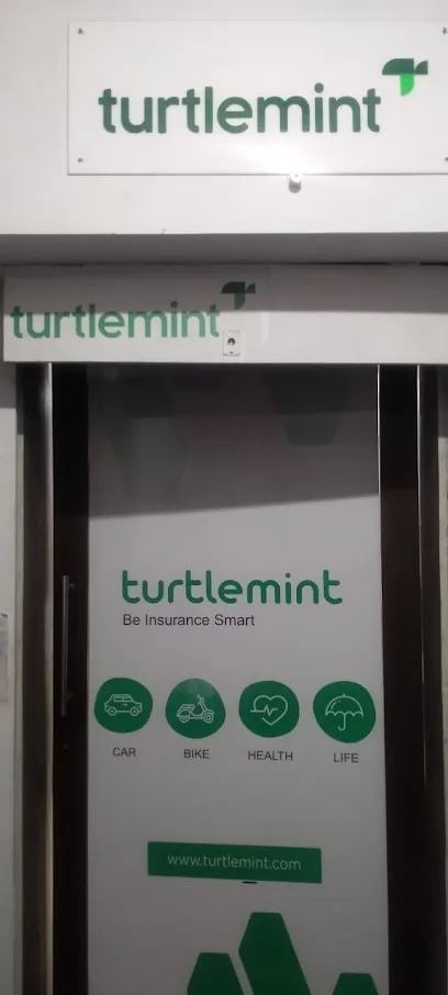 Turtlemint Insurance