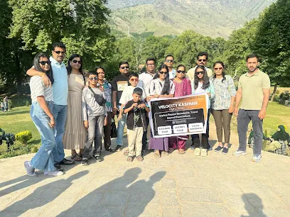 Velocity Kashmir Tour and Travels