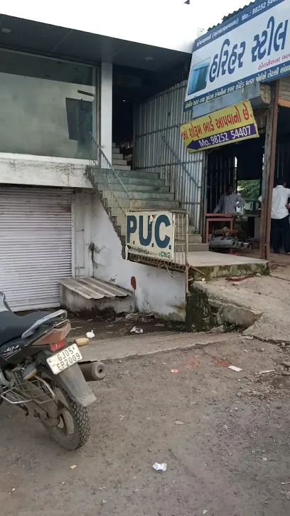 Ambika P. U. C Center & Insurance