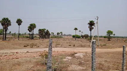 DISTRICT COLLECTOR OFFICE - SURYAPET
