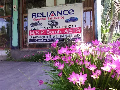 M/s P. Borah Auto Emission Testing Station