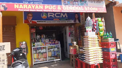 NARAYAN PUC