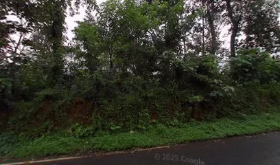Nidhila Pollution center
