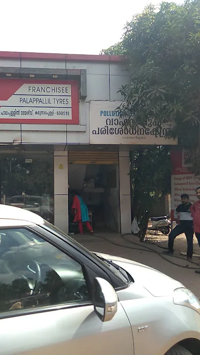 PALAPPALLIL POLLUTION TESTING