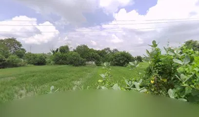 PUC Centre.Anil Singh