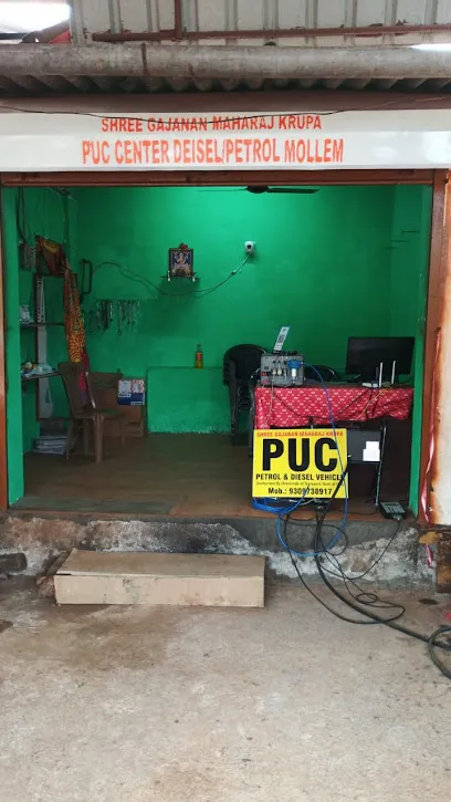 Shree Gajanan Maharaj krupa PUC Centre