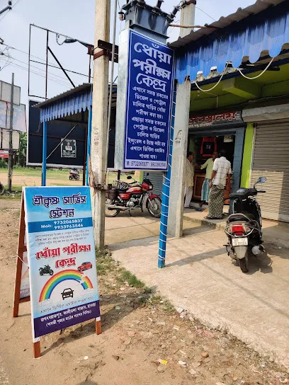 Srikrishna Service Station PUC center