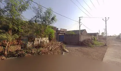 Amareli