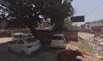 Amir auto service