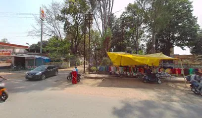 Bhavya car shringar