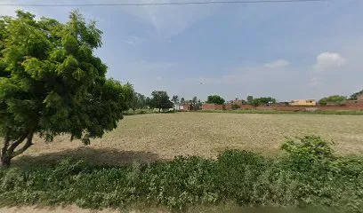 Bhure