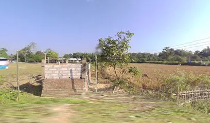 Budhen Bora & Co