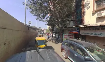 Gujarat Matador House