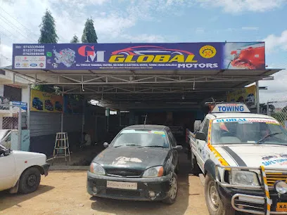 Hindustan Global Motors