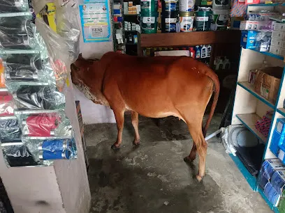 Jain auto stores
